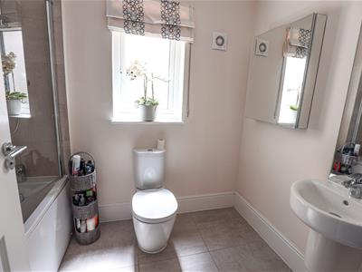 Picture 23